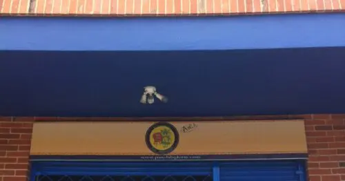 PANELA LA GLORIA BOGOTÁ PANELA LA GLORIA BOGOTÁ